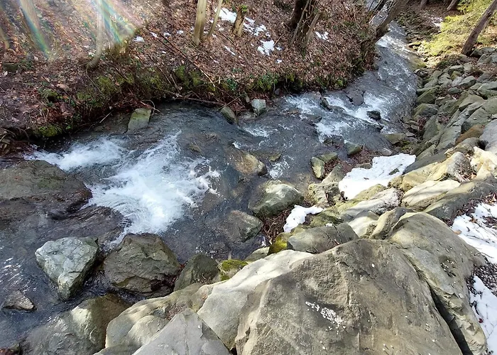 Narciarska N 6c Sauna דירה *